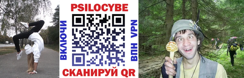 Галлюциногенные грибы MAGIC MUSHROOMS Данилов