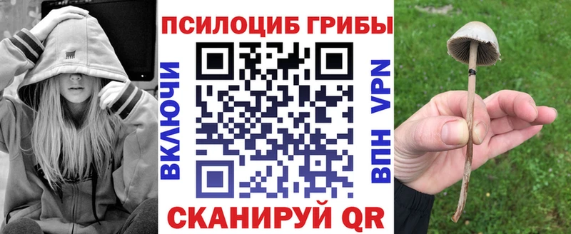 Галлюциногенные грибы ЛСД  Данилов 